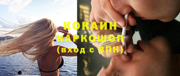 шишки Вязники