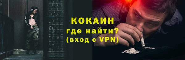 шишки Вязники